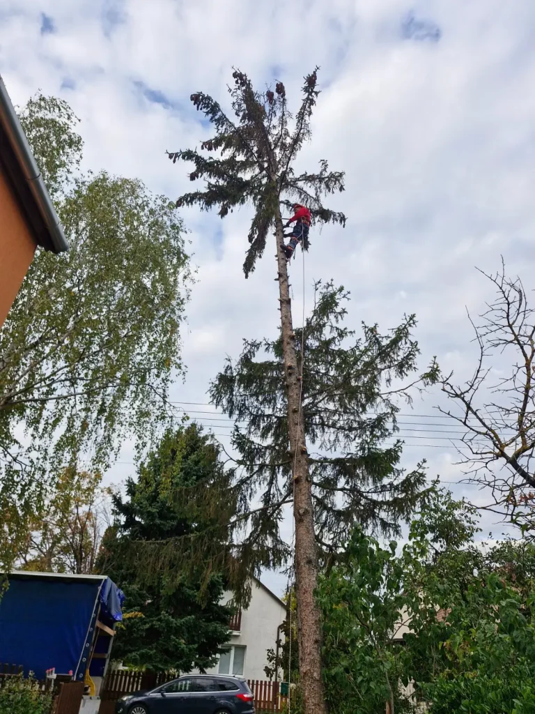 Alpinista a fenyő csonka törzsének tetején, mellette ház, Gyenesdiás