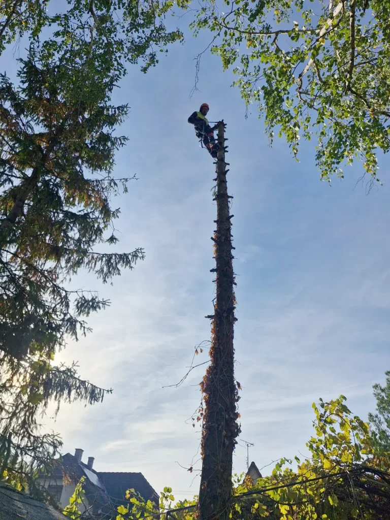Lecsupaszított fenyőtörzs, tetején alpinista, Gyenesdiás